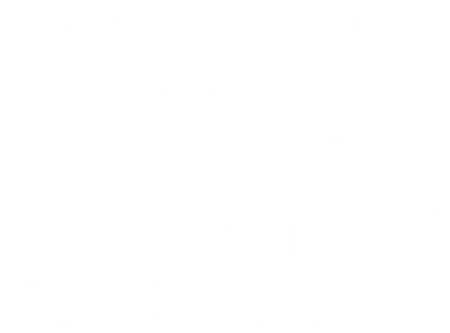 Official Selection - Panic Fest (virtual)